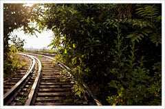 HIGH LINE NUDES | ON SALE